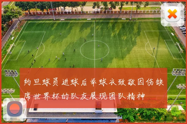 约旦球员进球后举球衣致敬因伤缺席世界杯的队友展现团队精神