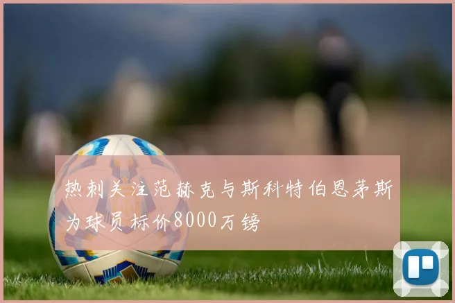 热刺关注范赫克与斯科特伯恩茅斯为球员标价8000万镑