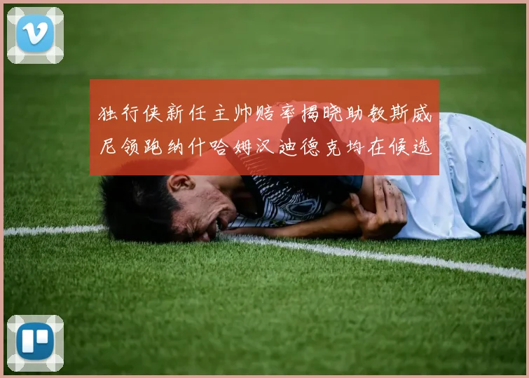 独行侠新任主帅赔率揭晓助教斯威尼领跑纳什哈姆汉迪德克均在候选之中