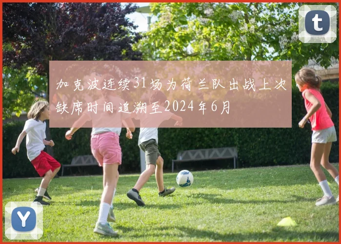 加克波连续31场为荷兰队出战上次缺席时间追溯至2024年6月